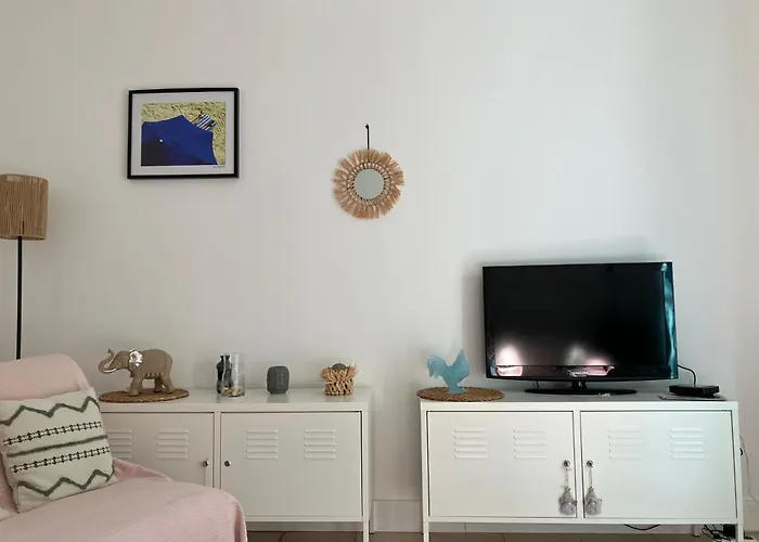Joli Appartement Avec Jardin, Rive Droite